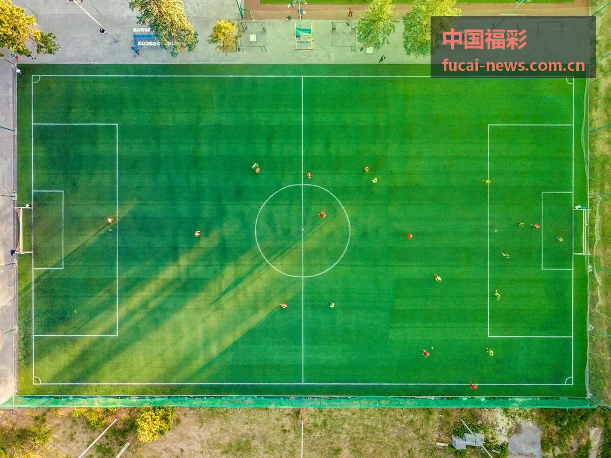 中国福彩公益金使用方向展示